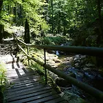Talblick - Schwarzwald Karte Inkludiert Casa de hóspedes Baiersbronn