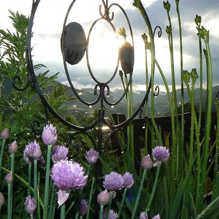Gasthof Garni Talblick 3*