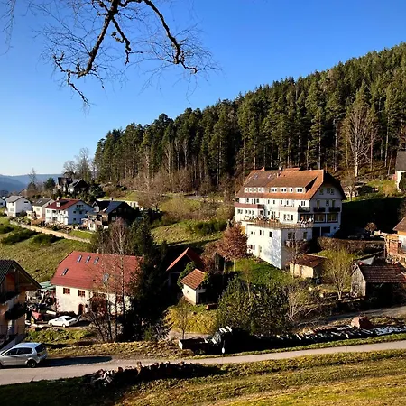 Talblick - Schwarzwald Karte Inkludiert Pensión Baiersbronn