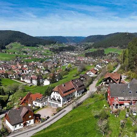 Talblick - Schwarzwald Karte Inkludiert Baiersbronn