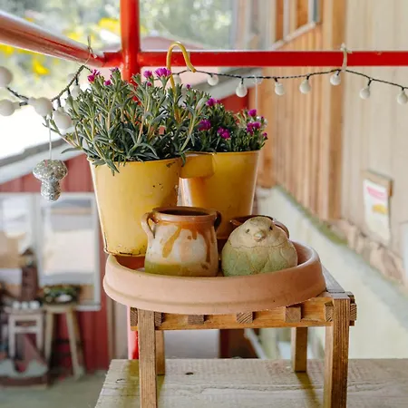 Talblick - Schwarzwald Karte Inkludiert ゲストハウス バイアースブロン