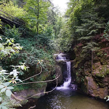 Talblick - Schwarzwald Karte Inkludiert Gæstehus Baiersbronn