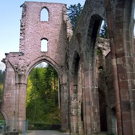 ゲストハウス Talblick - Schwarzwald Karte Inkludiert 3*