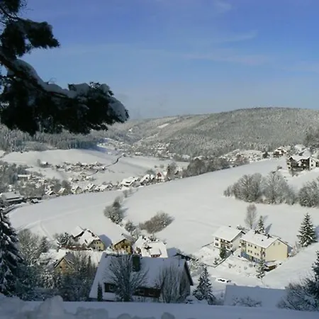 Talblick - Schwarzwald Karte Inkludiert 3* Baiersbronn
