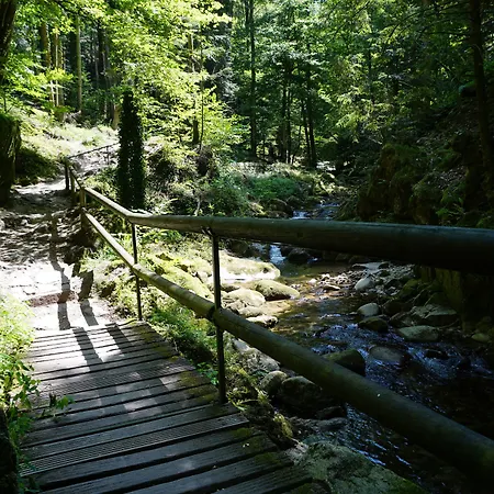 Talblick - Schwarzwald Karte Inkludiert Gæstehus Baiersbronn