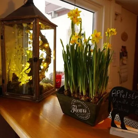 Talblick - Schwarzwald Karte Inkludiert Gæstehus Baiersbronn