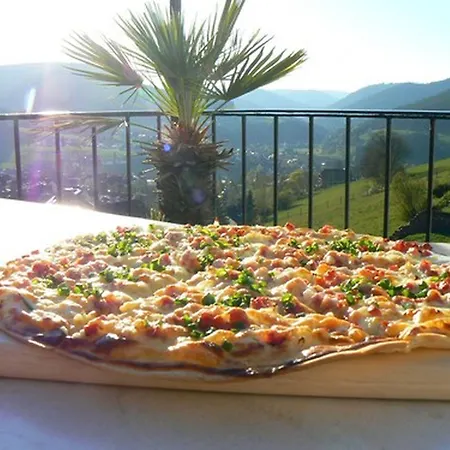 Talblick - Schwarzwald Karte Inkludiert 3* バイアースブロン