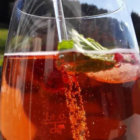 Talblick - Schwarzwald Karte Inkludiert 3* バイアースブロン