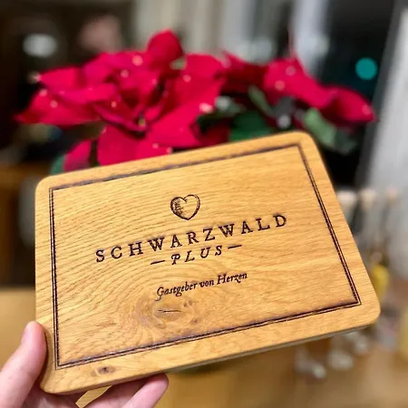 Pensión Talblick - Schwarzwald Karte Inkludiert