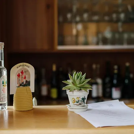 Talblick - Schwarzwald Karte Inkludiert Gæstehus 3*