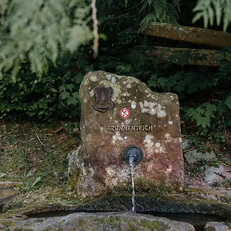Talblick - Schwarzwald Karte Inkludiert Gæstehus 3*