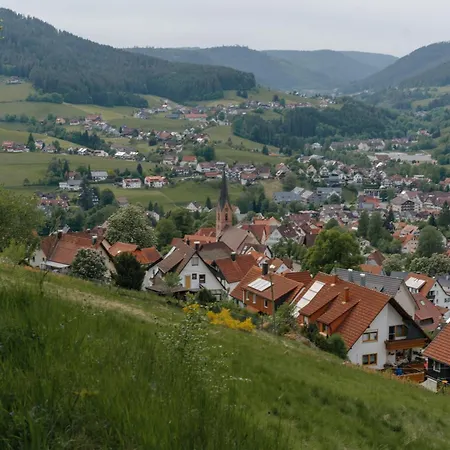 Talblick - Schwarzwald Karte Inkludiert Гостевой дом