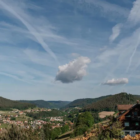 Talblick - Schwarzwald Karte Inkludiert Gæstehus 3*