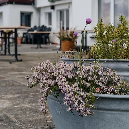 Gaestehaus Talblick Baiersbronn Baiersbronn
