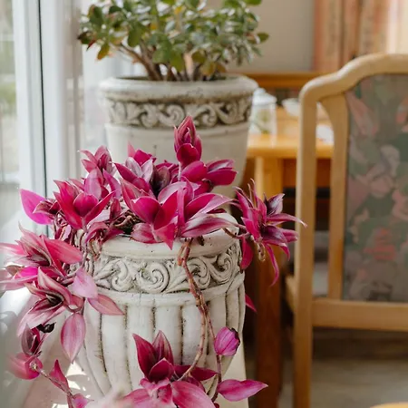 Talblick - Schwarzwald Karte Inkludiert 3* バイアースブロン