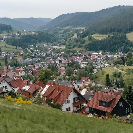 Talblick - Schwarzwald Karte Inkludiert 3* Baiersbronn