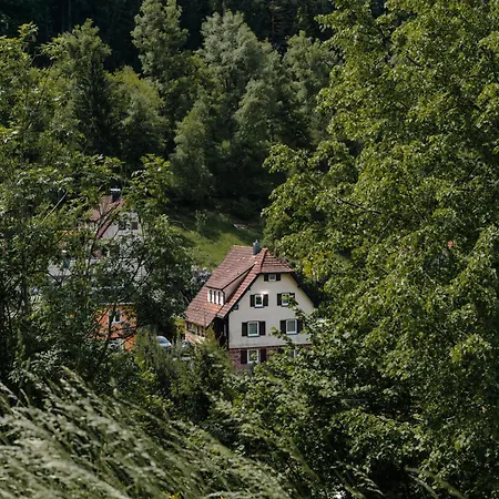 Talblick - Schwarzwald Karte Inkludiert Байрсброн