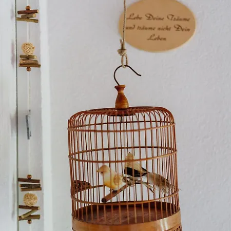 Talblick - Schwarzwald Karte Inkludiert ゲストハウス バイアースブロン