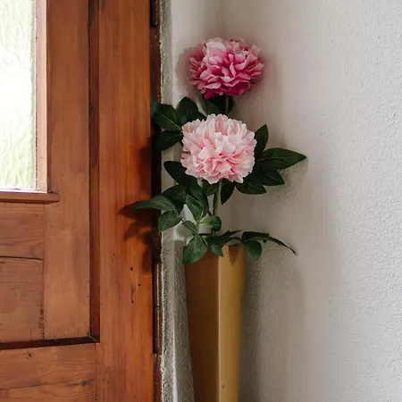 Talblick - Schwarzwald Karte Inkludiert バイアースブロン