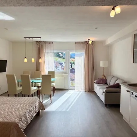 Pensjonat Gaestehaus Talblick Baiersbronn 3*