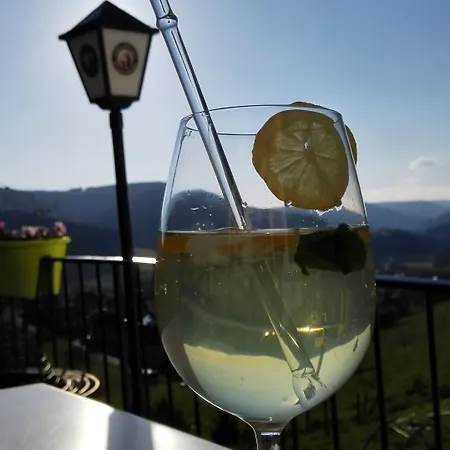 Gaestehaus Talblick 3*