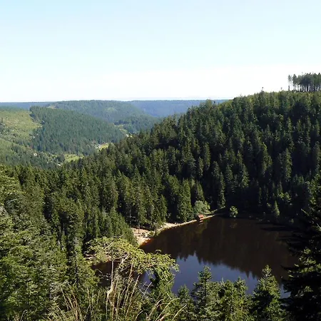 Talblick