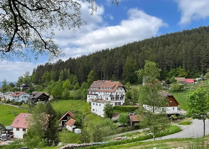 Talblick - Schwarzwald Karte Inkludiert Πανσιόν