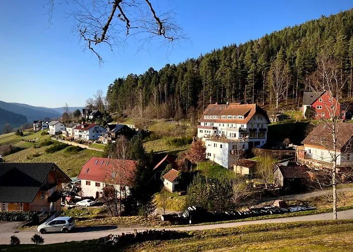 Talblick - Schwarzwald Karte Inkludiert Πανσιόν Baiersbronn