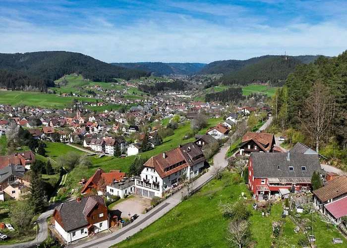 Talblick - Schwarzwald Karte Inkludiert Baiersbronn