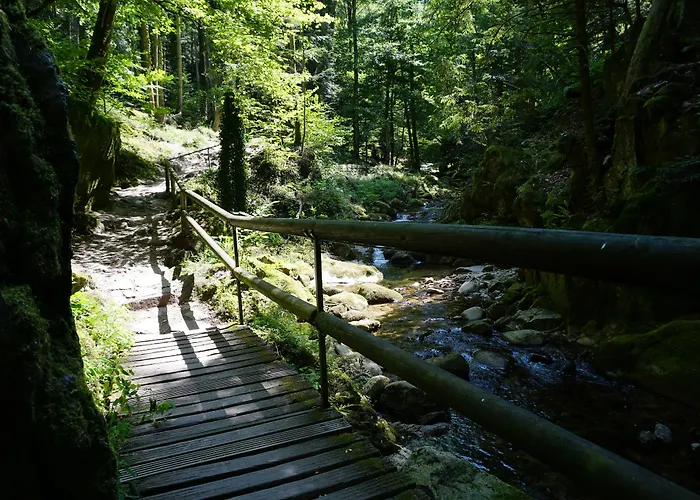 Talblick - Schwarzwald Karte Inkludiert Πανσιόν Baiersbronn