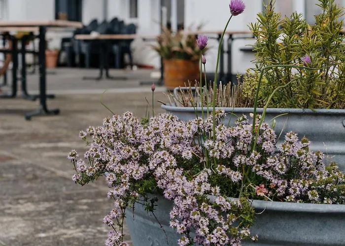 Talblick - Schwarzwald Karte Inkludiert Baiersbronn